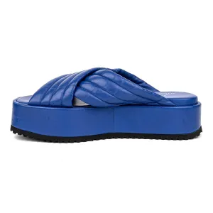 Agl ( Attilio Giusti Leombruni ) Attilio Giusti Leombruni Platform Sandals Leather Blue Colour For Women