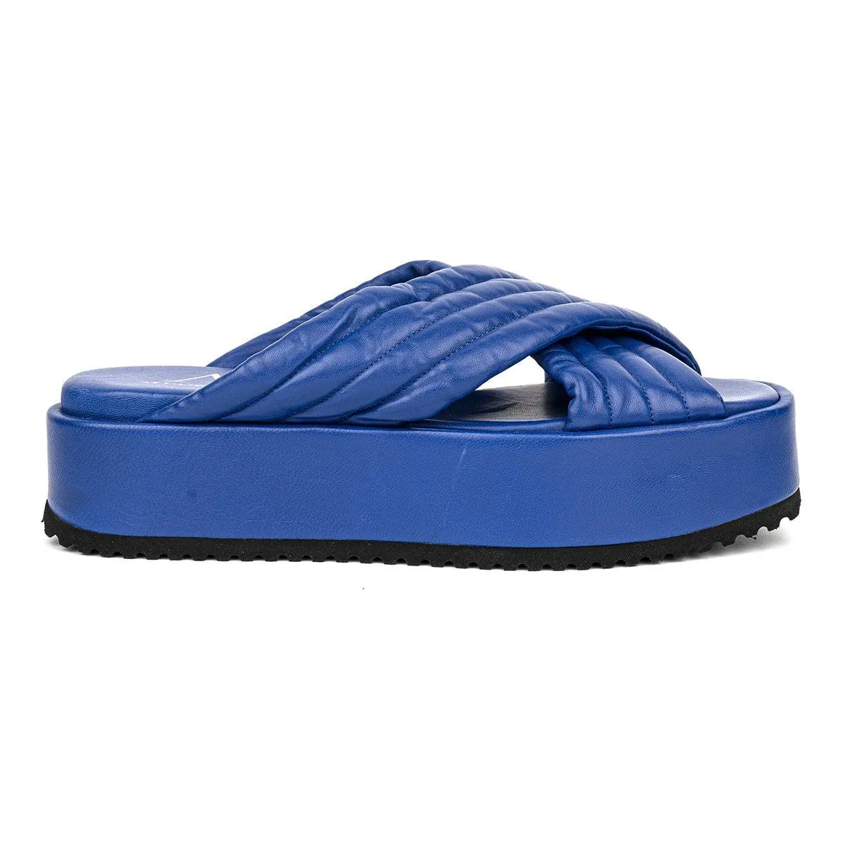 Agl ( Attilio Giusti Leombruni ) Attilio Giusti Leombruni Platform Sandals Leather Blue Colour For Women