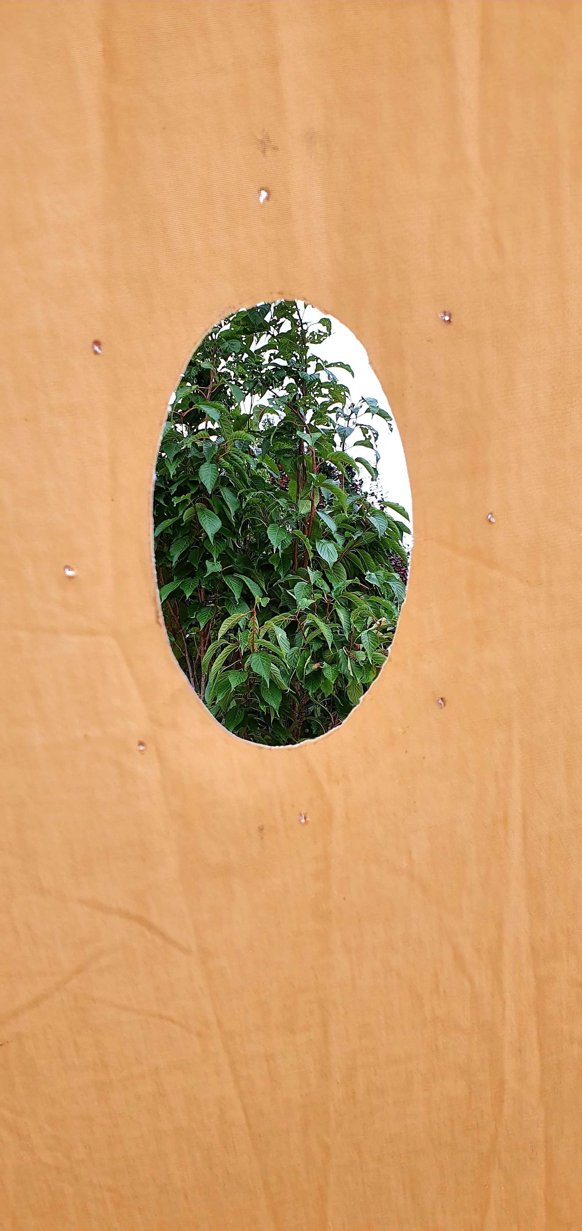 Flue Flashing Kit's