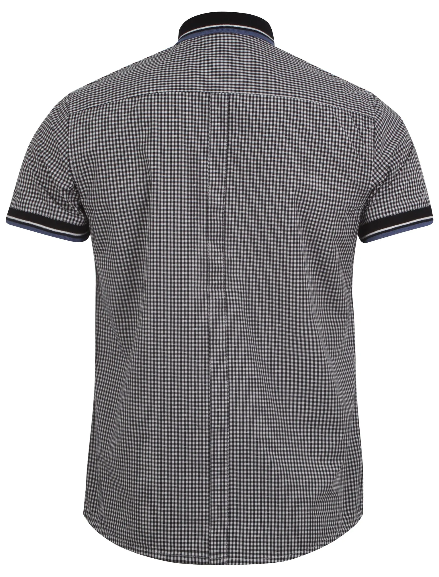 Le Shark  blue shirt