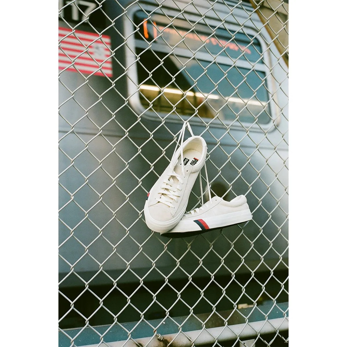 PRO-Keds Royal Lo Plus